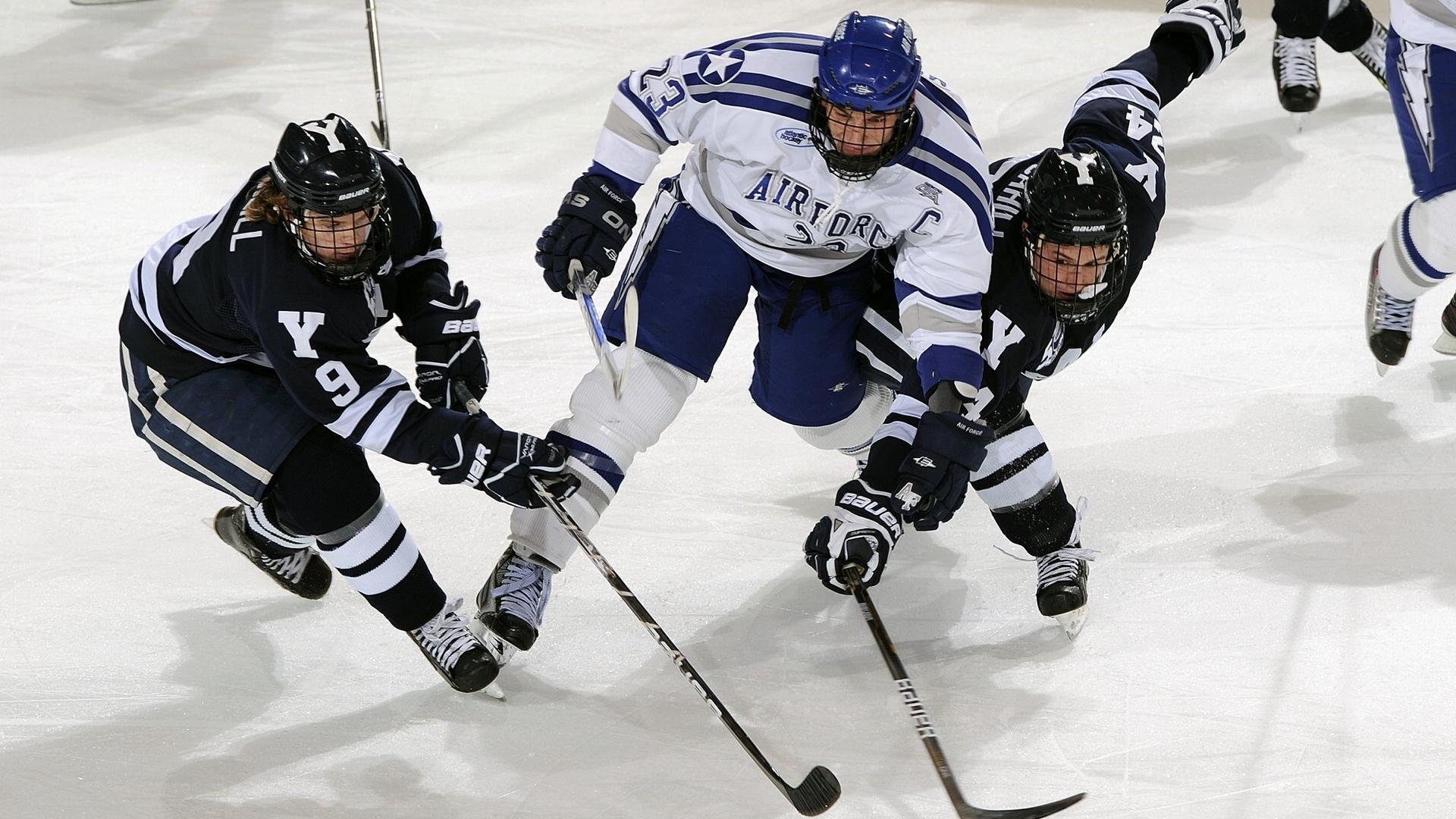 体育焦点评论板块更新上线,体育热点查询